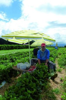 Schmerzfrei arbeiten