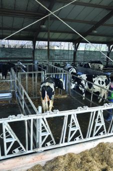 Tierhaltung: Arbeits- und Gesundheitsschutz im Fokus
