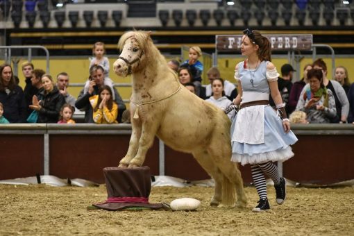 Mein Tier 2022: Eintauchen in die fantastische Welt der Tiere