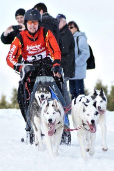 Oberharzer Schlittenhunde Adventure am 04. und 05. Februar 2023 auf der Bockswieser Höhe in Clausthal-Zellerfeld