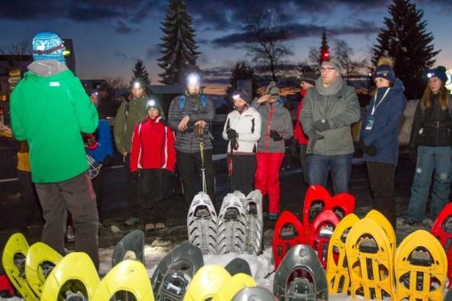 Der Tourismusverband Ostbayern gibt Tipps: Auch im Winter sicher unterwegs am Wanderweg Goldsteig
