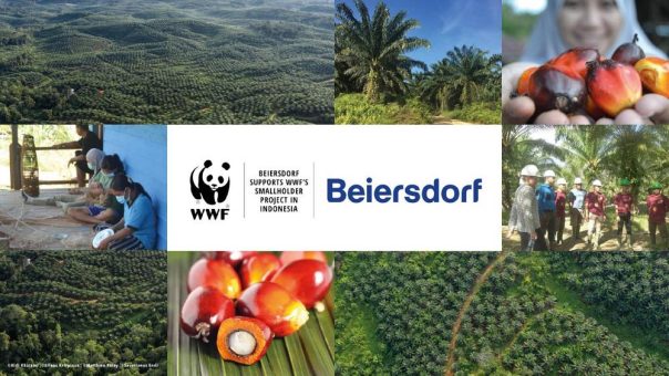 WWF und Beiersdorf verlängern Zusammenarbeit für nachhaltigere Palmölproduktion in Indonesien bis 2026