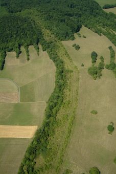 BUND begrüßt Ausweisung des Grünen Bandes Hessen als Nationales Naturmonument