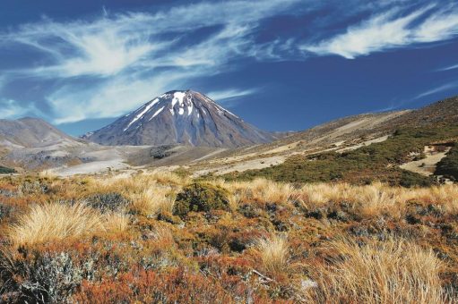 Neue Rundreisen und ausgefallene Unterkünfte: Die Best of Travel Group baut ihr Neuseeland-Programm deutlich aus