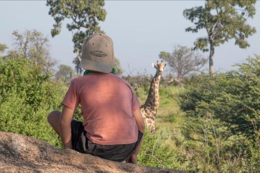 Familienfreuden in Simbabwe mit dem Young Explorers Programm von Great Plains