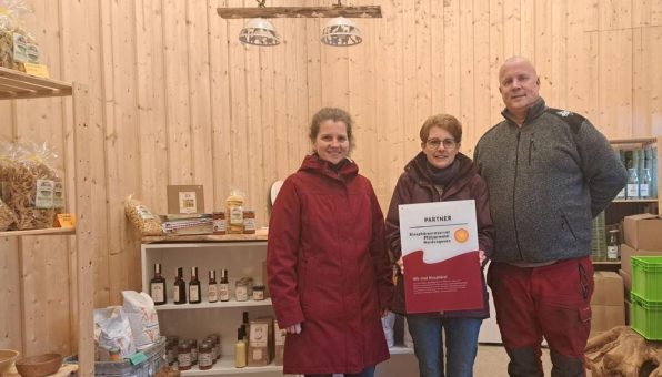 Schottische Hochlandrinder fressen für den Naturschutz