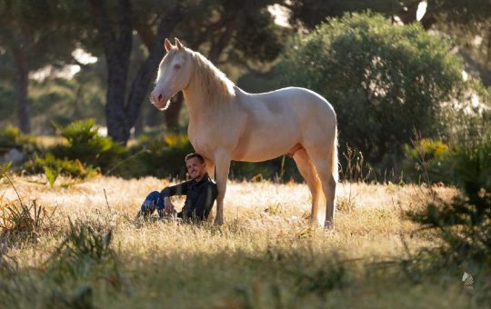 Ein Shooting Star in der NORDPFERD-Abendshow: Romain Lagarrue und seine geliebten Pferde