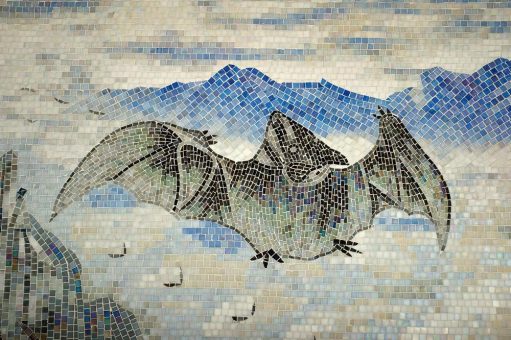 What Is It Like to Be a Bat?