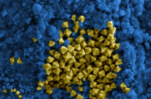 Nanomaterialien: ZVO plädiert für partikelgrößenbezogene Einstufung