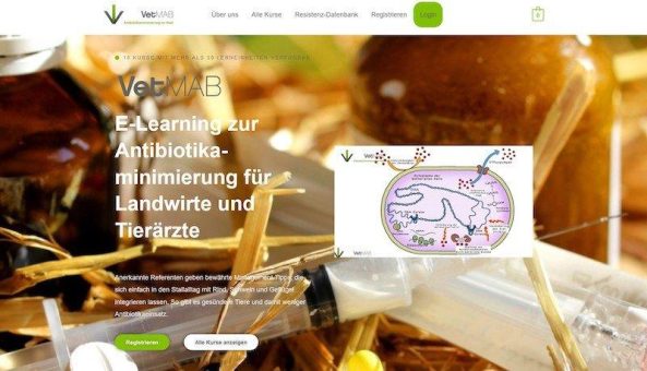 VetMAB – Antibiotikaminimierung im Stall: Online-Kurse für Tierärzt:innen und Landwirt:innen
