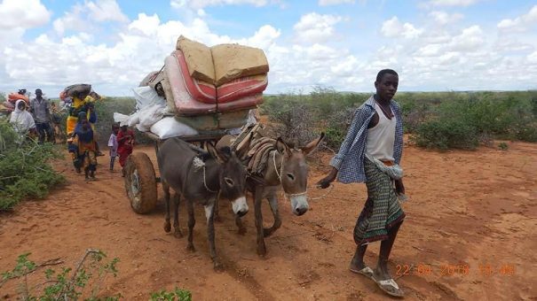 action medeor: Hilfe für Somalia