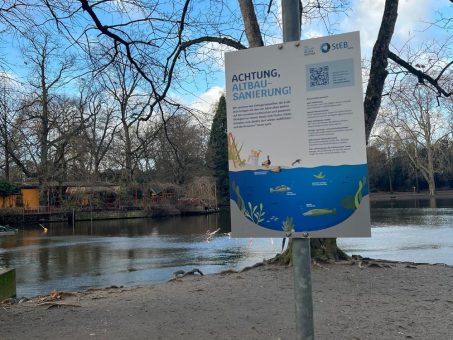 Fische machen Platz für Sanierung des Volksgartenweihers