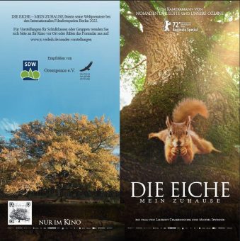 Die Eiche – MEIN ZUHAUSE