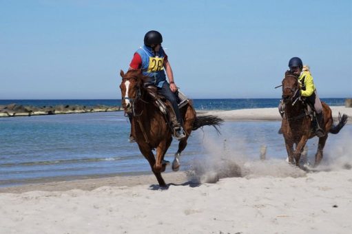 Zwischen Fackelschwimmen und Fischländer Strandgalopprennen: Das Osterfest in Mecklenburg-Vorpommern