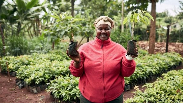 Für Empowerment und wirtschaftliche Souveränität:  Treedom fördert in Projekten weltweit gezielt Frauen