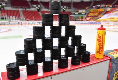 Adler und Grizzlys:  Die nächsten Gegner der DEG