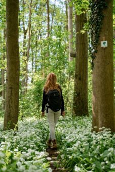 Vierte Wandersaison auf dem DonAUwald- Wanderweg eröffnet