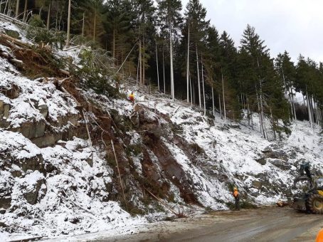 Landesforsten fällen Borkenkäfer-Bäume im Okertal