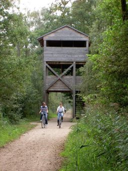 Radwegsanierung im Müritz-Nationalpark