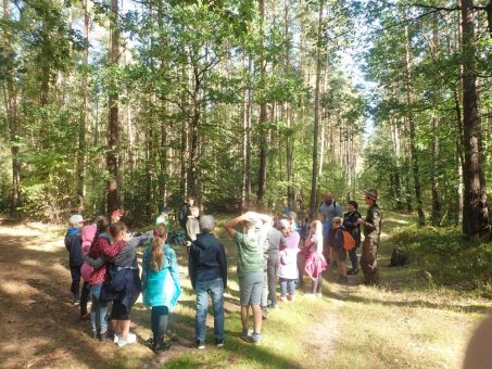 Rempliner Schulklassen besuchen den Müritz-Nationalpark