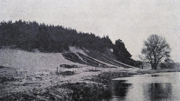 Gehölzrodungen und Landschaftspflegearbeiten am Ostufer der Feisneck