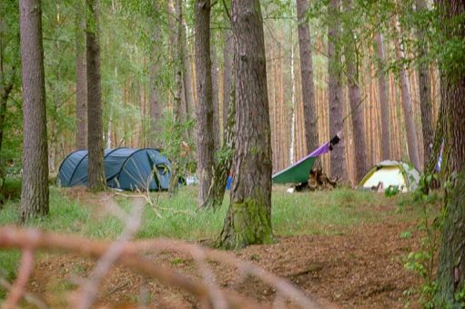 Tipps für Nationalparkgenuss ohne Ärger