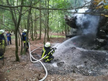 Waldbrandgefahrenstufe 5 – höchste Warnstufe im Nationalpark