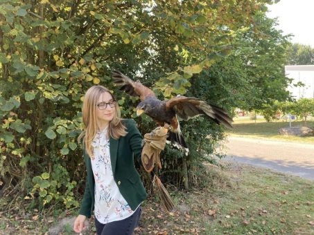 Majestätische Greifvögel erleben – Wüstenbussard, Steinkauz und Co.