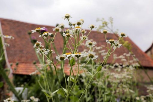 Mit Wissen und Freude durch Wald und Flur