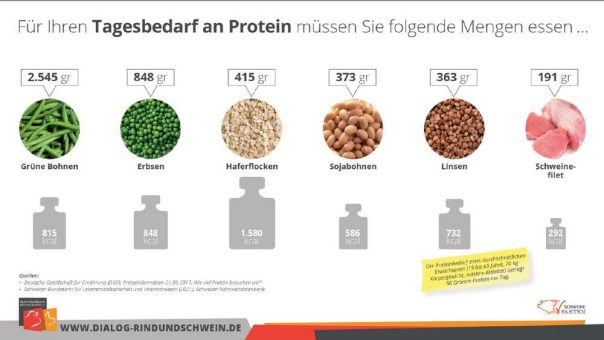 Tierische Lebensmittel ermöglichen eine ideale Eiweißversorgung