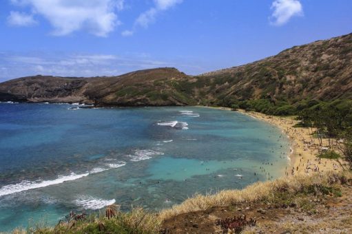 Karawane organisiert Insel-Hopping durch das Hawaii-Archipel