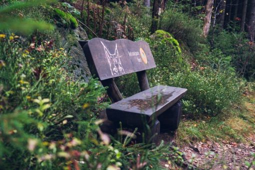 Harzburger Klippenwanderung
