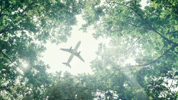 dena-Studie zu DAC-Kerosin: Wie der Luftverkehr mit nachhaltigem CO2 klimaneutral wird