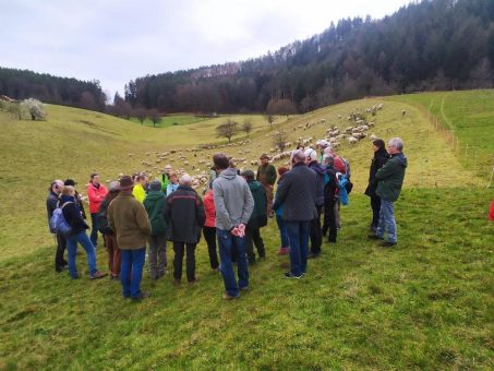 Mit vierbeinigen Landschaftspflegern in eine nachhaltige Zukunft