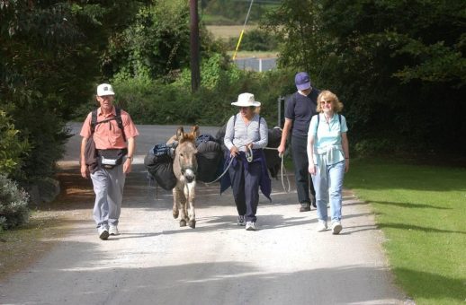 Im Takt des Langohrs: Wandern mit einem Esel