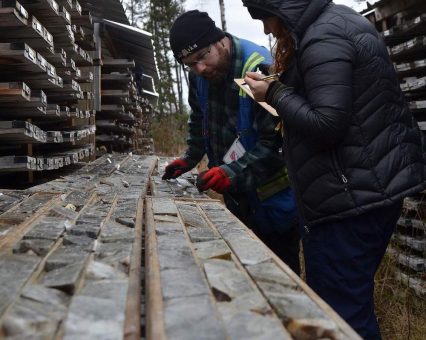 Gold ist eine globale Reservewährung