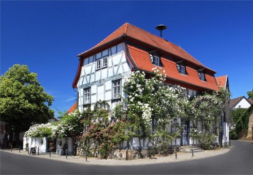 Rosenmuseum Steinfurth startet am 1. April in die neue Saison