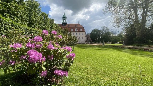 Blütenmeer im Schlosspark Lichtenwalde – Blühende Rhododendren und Sommerflor erfreuen Besucher