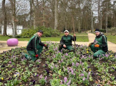 Bunter Blütenteppich für die Gartenschau