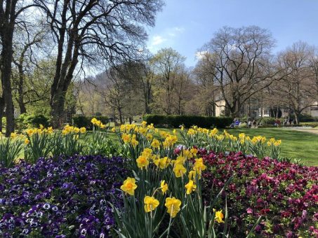 Barefoot Therapy – Walk & Eat am 09. Mai 2023 um 10 Uhr im Kurpark Bad Harzburg