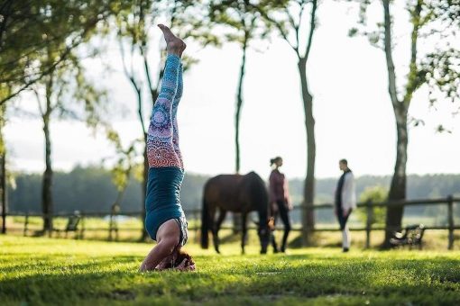 Reiten in Kombination mit Wellness, Yoga oder Fasten