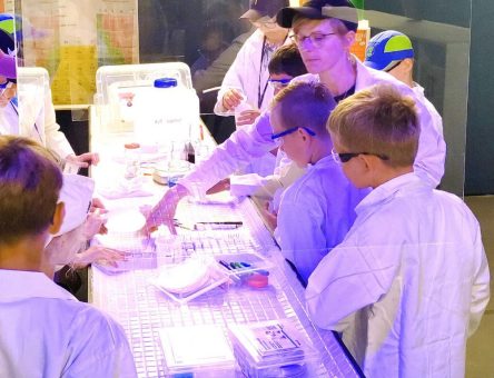 Experimente mit Knalleffekt