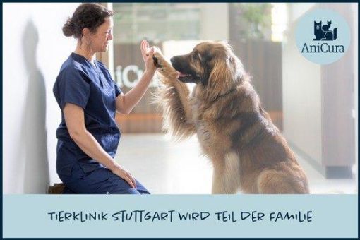 Tierklinik Stuttgart-Plieningen wird Teil der AniCura-Familie