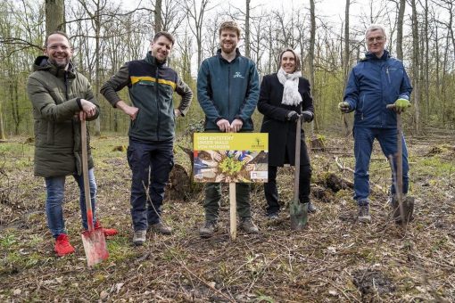 Baumpflanzung als Kompensation für Großveranstaltung