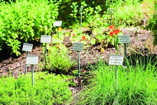 Apothekergartenführungen 2023