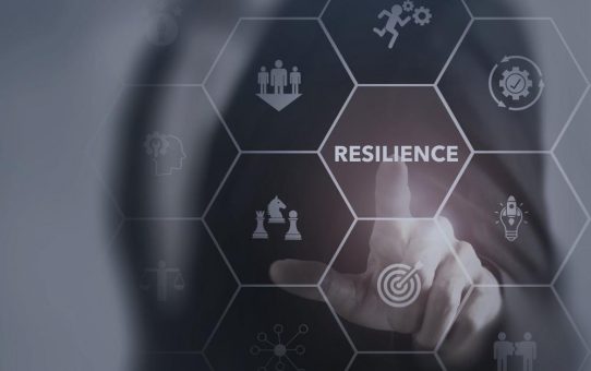 Ein Balanceakt zwischen Stabilität und Flexibilität: Resiliente Unternehmen