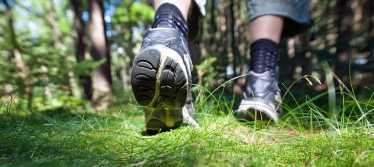 Kurzwanderung zum Großen Burgberg