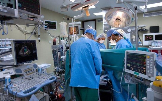 Mitteilungen aus Bildung und Wissenschaft – Spezialisierung im Krankenhaus