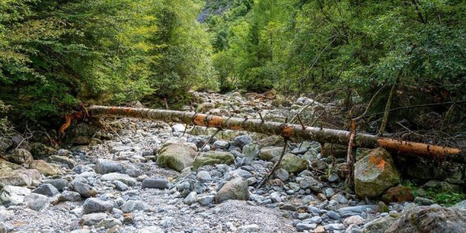 Die stärkste Verbündete im Kampf gegen die Klimaerhitzung: die Natur