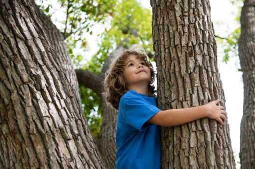 Das Projekt „Meine Umwelt. Meine Verantwortung.“ der Town & Country Stiftung startet in das Themenjahr „WaldWissen“